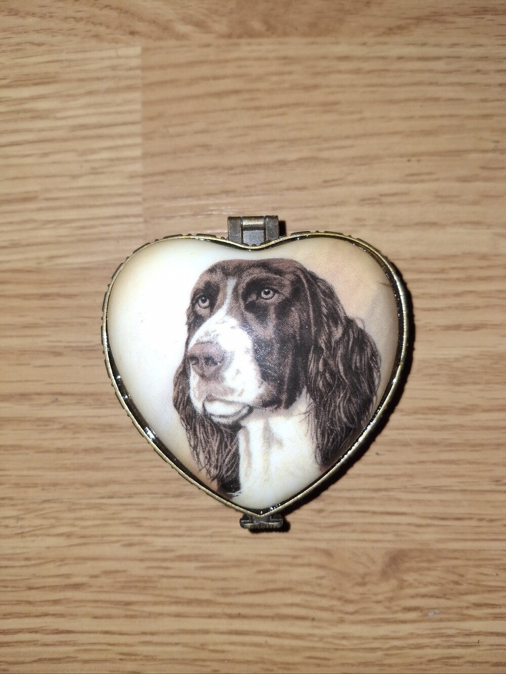 Ceramic I love my Springer Spaniel keepsake trinket box